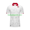 Tenue Tunisie Exterieur 2023-2024 Maillot de Foot